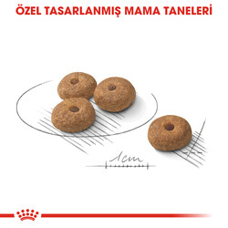 Royal Canin Mini Sterilised Küçük Irk Kısırlaştırılmış Köpek Maması 3 Kg x 2 Adet - Thumbnail