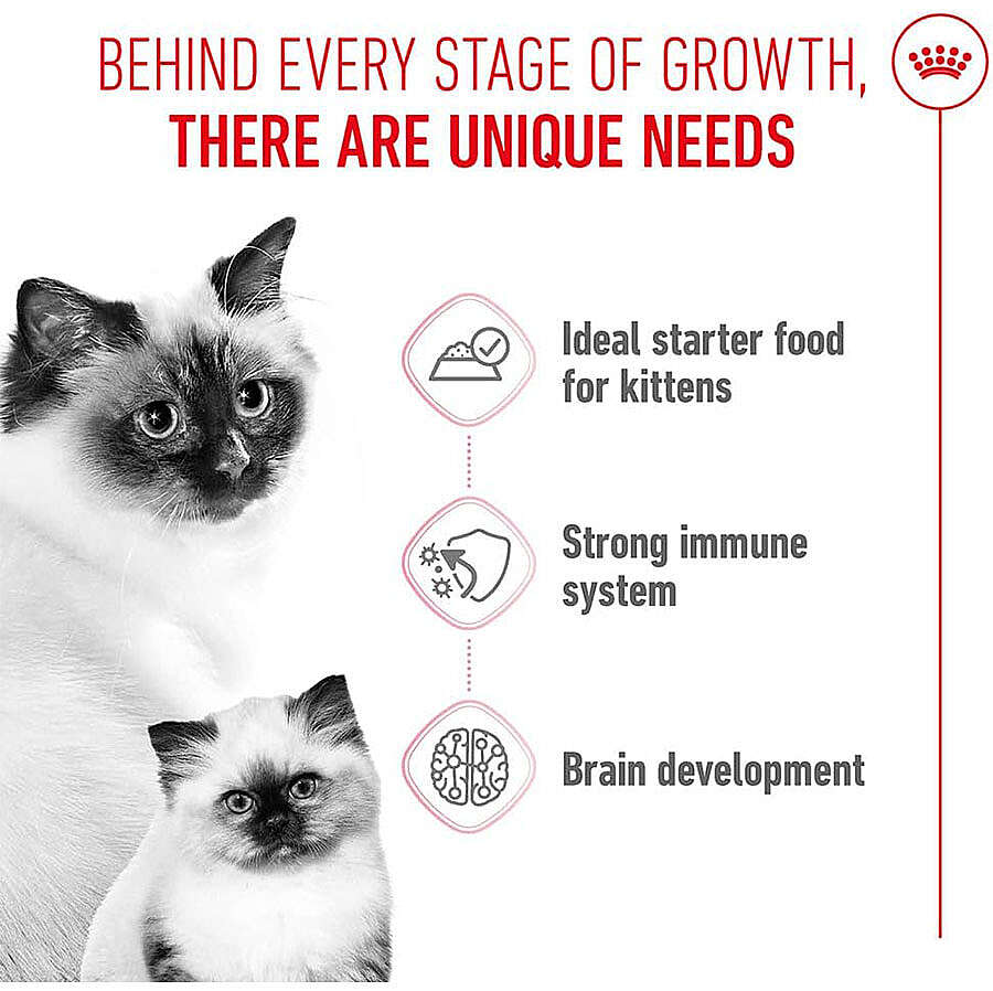 にゃんmama Royal Canin Mother & Babycat Instinctive Anne ve Yavru Yaş Kedi
