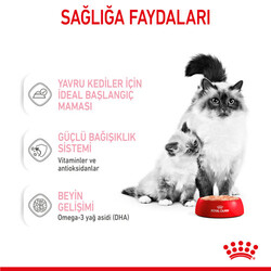 Royal Canin Mother & Babycat Instinctive Anne ve Yavru Yaş Kedi Maması 195 Gr - Thumbnail