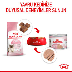 Royal Canin Mother & Babycat Instinctive Anne ve Yavru Yaş Kedi Maması 195 Gr - Thumbnail