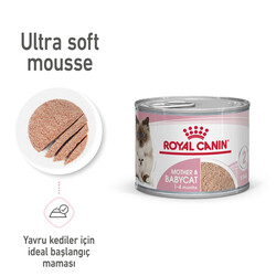 Royal Canin Mother & Babycat Instinctive Anne ve Yavru Yaş Kedi Maması 195 Gr - Thumbnail