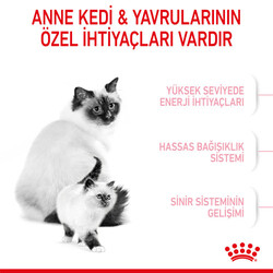 Royal Canin Mother & Babycat Yavru Kedi Maması 4 Kg + Wanpy Creamy Treat 5x14 Gr - Thumbnail