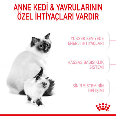 Royal Canin Mother & Babycat Yavru Kedi Maması 4 Kg + Wanpy Creamy Treat 5x14 Gr