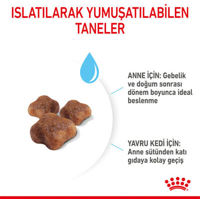 Royal Canin Mother & Babycat Yavru Kedi Maması 4 Kg + Wanpy Creamy Treat 5x14 Gr