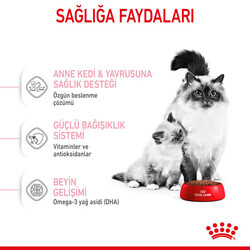 Royal Canin Mother & Babycat Yavru Kedi Maması 4 Kg x 2 Adet + 2 Adet Crocus Cream Ödül 4x15 Gr - Thumbnail