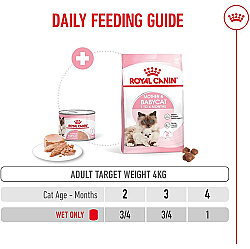 Royal Canin Mother Babycat Instinctive Anne ve Yavru Yaş Kedi Maması 195 Gr x 6 Adet - 10