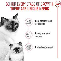 Royal Canin Mother Babycat Instinctive Anne ve Yavru Yaş Kedi Maması 195 Gr x 6 Adet - 12