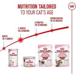 Royal Canin Mother Babycat Instinctive Anne ve Yavru Yaş Kedi Maması 195 Gr x 6 Adet - 13