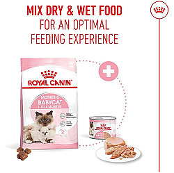 Royal Canin Mother Babycat Instinctive Anne ve Yavru Yaş Kedi Maması 195 Gr x 6 Adet - 14