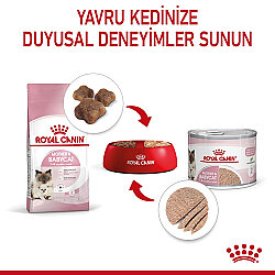 Royal Canin Mother Babycat Instinctive Anne ve Yavru Yaş Kedi Maması 195 Gr x 6 Adet - 9