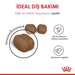 Royal Canin Dental Care Diş Sağlığı Kedi Maması 1,5 Kg - Thumbnail