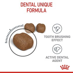 Royal Canin Dental Care Diş Sağlığı Kedi Maması 1,5 Kg x 2 Adet + Temizlik Mendili - Thumbnail