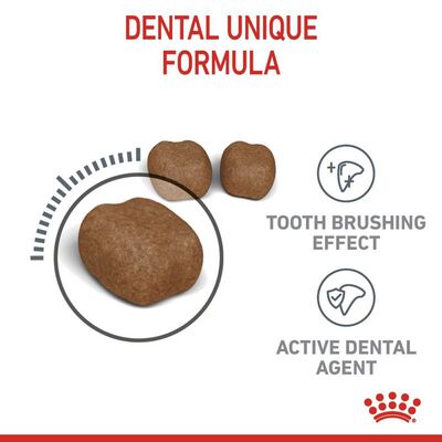 Royal Canin Dental Care Diş Sağlığı Kedi Maması 1,5 Kg x 2 Adet