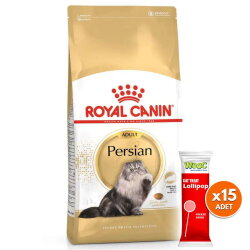 Royal Canin Persian İran Kedi Irk Maması 10 Kg + 15 Adet Wooc Lolipop Ödül - Royal Canin