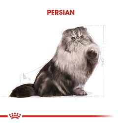 Royal Canin Persian İran Kedi Irk Maması 10 Kg + 10Lu Lolipop Kedi Ödülü + Temizlik Mendili - Thumbnail