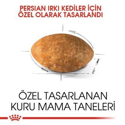 Royal Canin Persian İran Kedi Irk Maması 10 Kg x 2 Adet + 2 Adet 10Lu Lolipop Kedi Ödülü