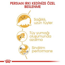 Royal Canin Persian İran Kedi Irk Maması 10 Kg x 2 Adet + 2 Adet 10Lu Lolipop Kedi Ödülü + Temizlik Mendili - Thumbnail