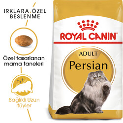Royal Canin Persian İran Kedi Irk Maması 10 Kg x 2 Adet + 2 Adet 10Lu Lolipop Kedi Ödülü + Temizlik Mendili - Thumbnail