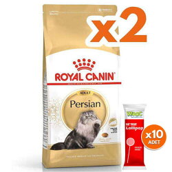 Royal Canin Persian İran Kedilerine Özel Mama 2 Kg x 2 Adet + 10 Adet Wooc Lolipop Ödül - Royal Canin