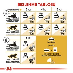 Royal Canin Persian İran Kedisi Irk Maması 4 Kg + Temizlik Mendili - 5