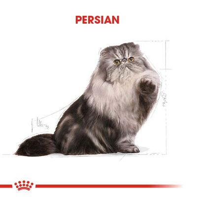 Royal Canin Persian İran Kedisi Irk Maması 4 Kg + Temizlik Mendili - 7