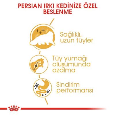 Royal Canin Persian İran Kedisi Irk Maması 4 Kg + Temizlik Mendili - 3
