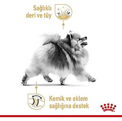 Royal Canin Pomeranian Yetişkin Köpek Irk Maması 1,5 Kg + Temizlik Mendili - 5