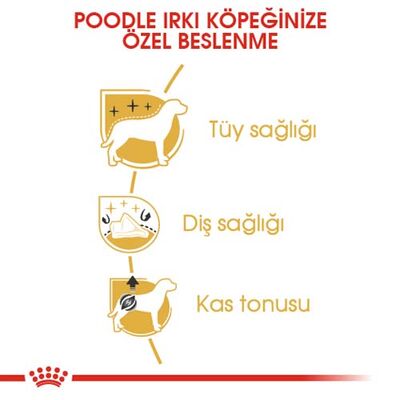 Royal Canin Poodle Adult Yetişkin Köpek Irk Maması 3 Kg + Wanpy Creamy Treat 5x14 Gr