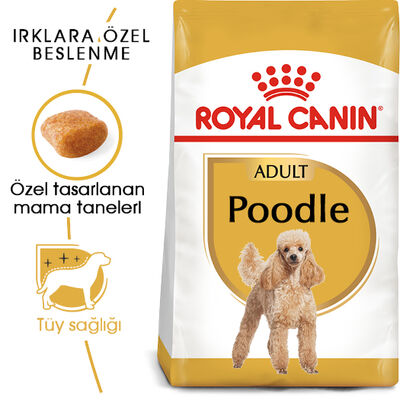 Royal Canin Poodle Adult Yetişkin Köpek Irk Maması 3 Kg + Wanpy Creamy Treat 5x14 Gr