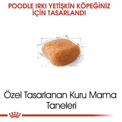 Royal Canin Poodle Adult Yetişkin Köpek Irk Maması 3 Kg + Temizlik Mendili - 6