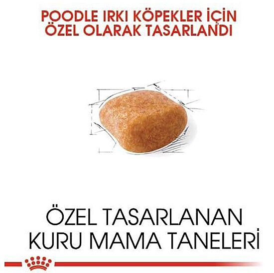 Royal Canin Poodle Adult Yetişkin Köpek Irk Maması 3 Kg + Temizlik Mendili - 2