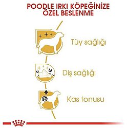 Royal Canin Poodle Adult Yetişkin Köpek Irk Maması 3 Kg + Temizlik Mendili - 4