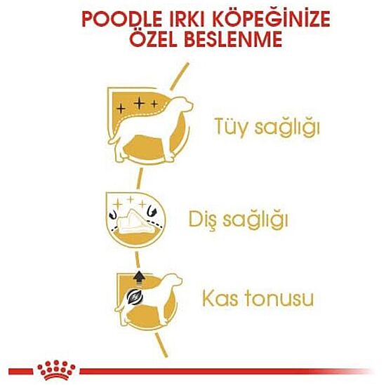 Royal Canin Poodle Adult Yetişkin Köpek Irk Maması 3 Kg + Temizlik Mendili - 4