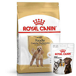 Royal Canin Poodle Adult Yetişkin Köpek Irk Maması 3 Kg + Royal Canin Köpek Ödülü - Royal Canin