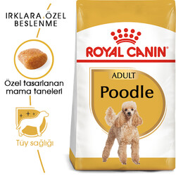 Royal Canin - Royal Canin Poodle Adult Yetişkin Köpek Irk Maması 3 Kg + 2 Adet Temizlik Mendili