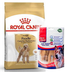 Royal Canin - Royal Canin Poodle Adult Yetişkin Köpek Irk Maması 3 Kg + Esca Food Köpek Ödülü
