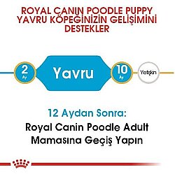 Royal Canin Poodle Puppy Yavru Köpek Irk Maması 3 Kg + Royal Canin Yavru Köpek Ödülü - 4