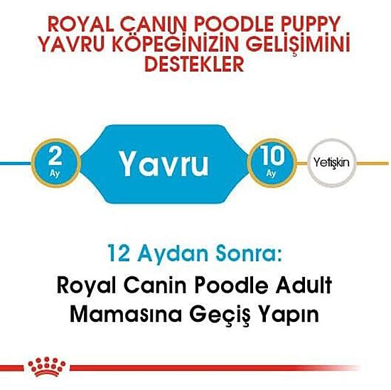 Royal Canin Poodle Puppy Yavru Köpek Irk Maması 3 Kg + Royal Canin Yavru Köpek Ödülü - 4