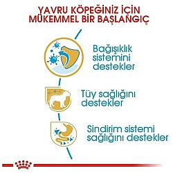 Royal Canin Poodle Puppy Yavru Köpek Irk Maması 3 Kg + Royal Canin Yavru Köpek Ödülü - 3