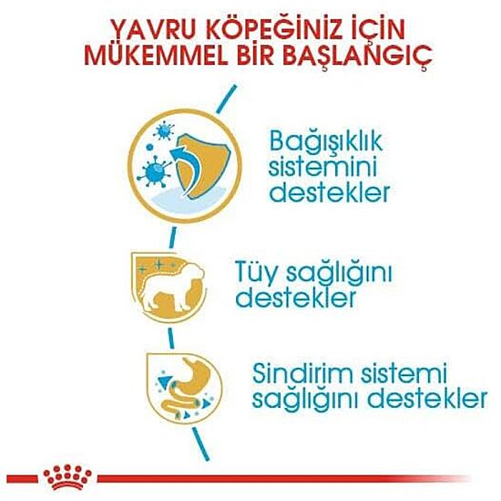 Royal Canin Poodle Puppy Yavru Köpek Irk Maması 3 Kg + Royal Canin Yavru Köpek Ödülü - 3