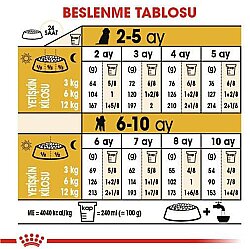 Royal Canin Poodle Puppy Yavru Köpek Irk Maması 3 Kg + Royal Canin Yavru Köpek Ödülü - 6