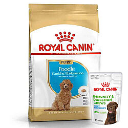 Royal Canin Poodle Puppy Yavru Köpek Irk Maması 3 Kg + Royal Canin Yavru Köpek Ödülü - Royal Canin