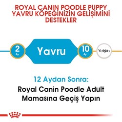 Royal Canin Poodle Puppy Yavru Köpek Irk Maması 3 Kg + Bez Çanta - Thumbnail