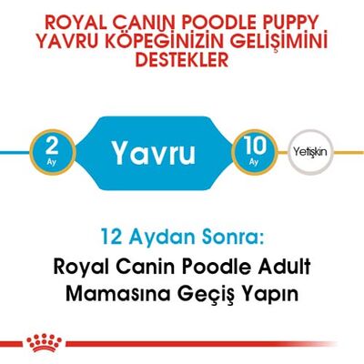 Royal Canin Poodle Puppy Yavru Köpek Irk Maması 3 Kg
