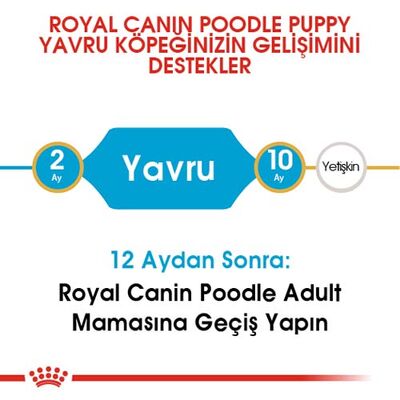 Royal Canin Poodle Puppy Yavru Köpek Irk Maması 3 Kg + Bez Çanta