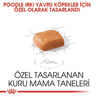 Royal Canin Poodle Puppy Yavru Köpek Irk Maması 3 Kg