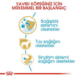 Royal Canin Poodle Puppy Yavru Köpek Irk Maması 3 Kg - Thumbnail