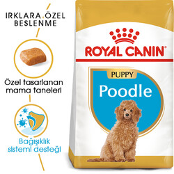 Royal Canin - Royal Canin Poodle Puppy Yavru Köpek Irk Maması 3 Kg + 2 Adet Temizlik Mendili
