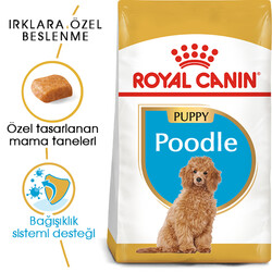 Royal Canin Poodle Puppy Yavru Köpek Irk Maması 3 Kg + Bez Çanta - Thumbnail