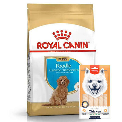 Royal Canin Poodle Puppy Yavru Köpek Irk Maması 3 Kg + Wanpy Creamy Treat 5x14 Gr